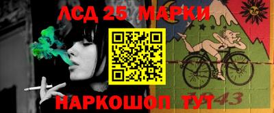 гидропоника Камышлов